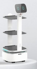 Robot de entrega de comida